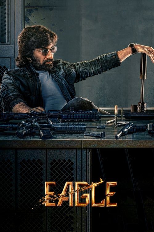 Eagle (2024) WEB-DL [Hindi (DD2.0) & Telugu] 1080p 720p & 480p Dual Audio [x264/10Bit-HEVC] | Full Movie