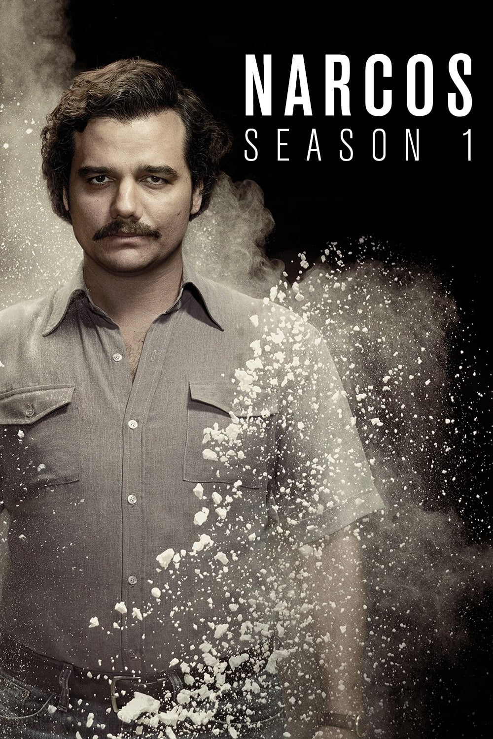 Narcos (Season 1) WEB-DL [Hindi (ORG 5.1) & English] Dual Audio 1080p 720p & 480p x264 DD5.1 | NetFlix Series