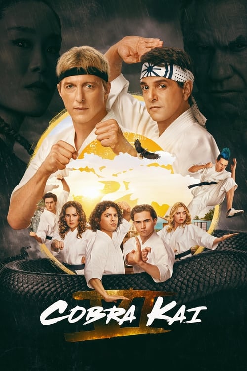 Cobra Kai (Season 6) WEB-DL [Hindi (DD5.1) & English] 1080p & 720p [x264/10Bit-HEVC] | [ALL Episodes] | NF Series